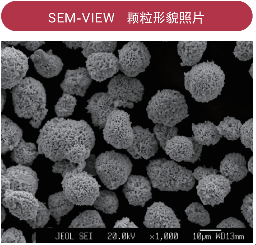 世佳微爾超細(xì)銅粉顆粒形貌照片